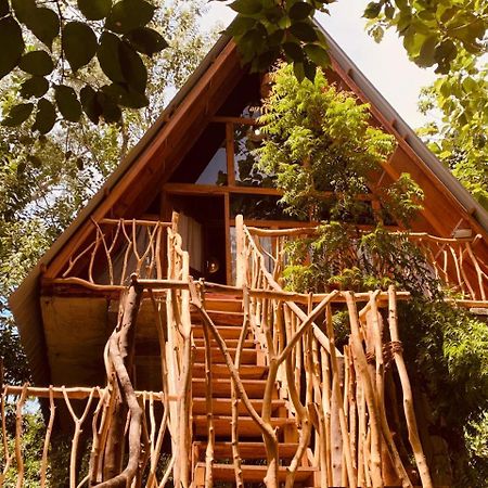 Angry Birds Tree House Apartment Habarana Luaran gambar