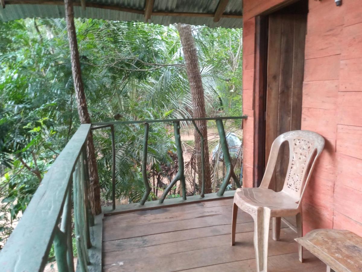 Angry Birds Tree House Apartment Habarana Luaran gambar
