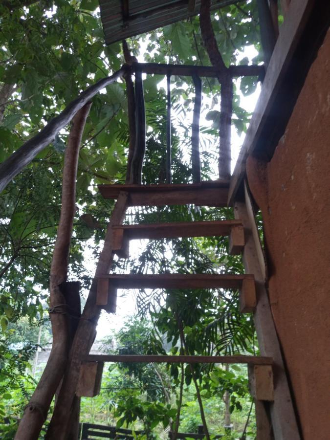 Angry Birds Tree House Apartment Habarana Luaran gambar