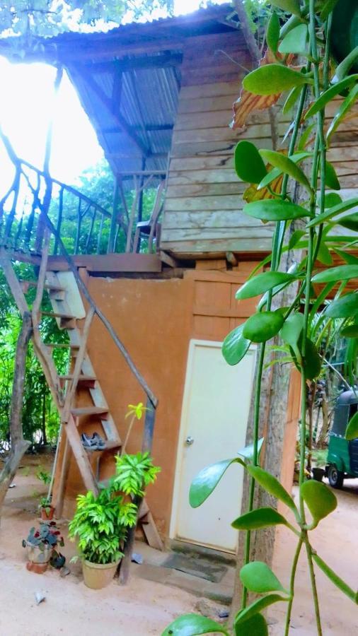 Angry Birds Tree House Apartment Habarana Luaran gambar