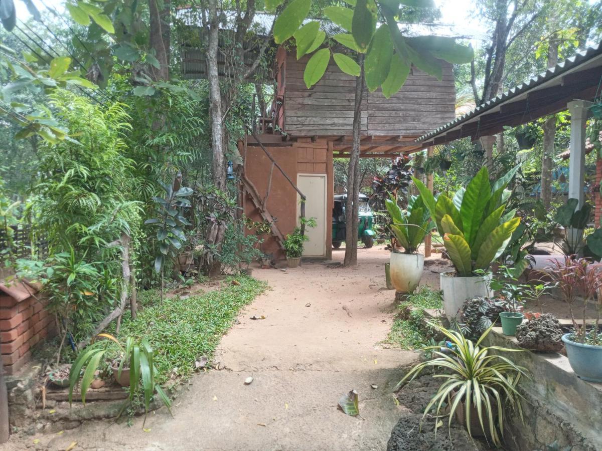 Angry Birds Tree House Apartment Habarana Luaran gambar