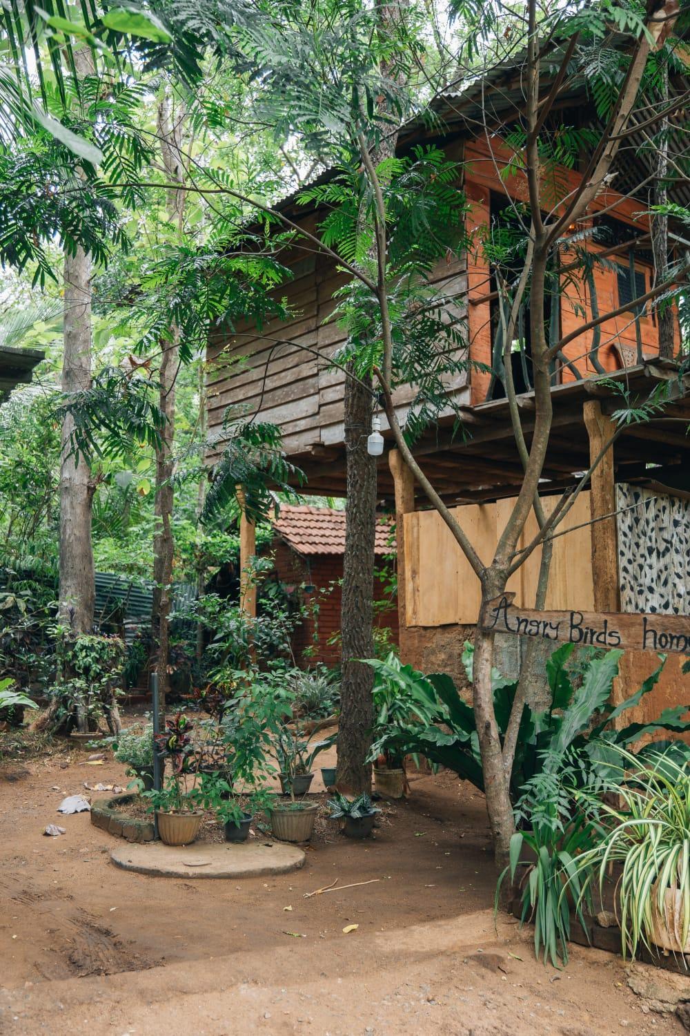 Angry Birds Tree House Apartment Habarana Luaran gambar