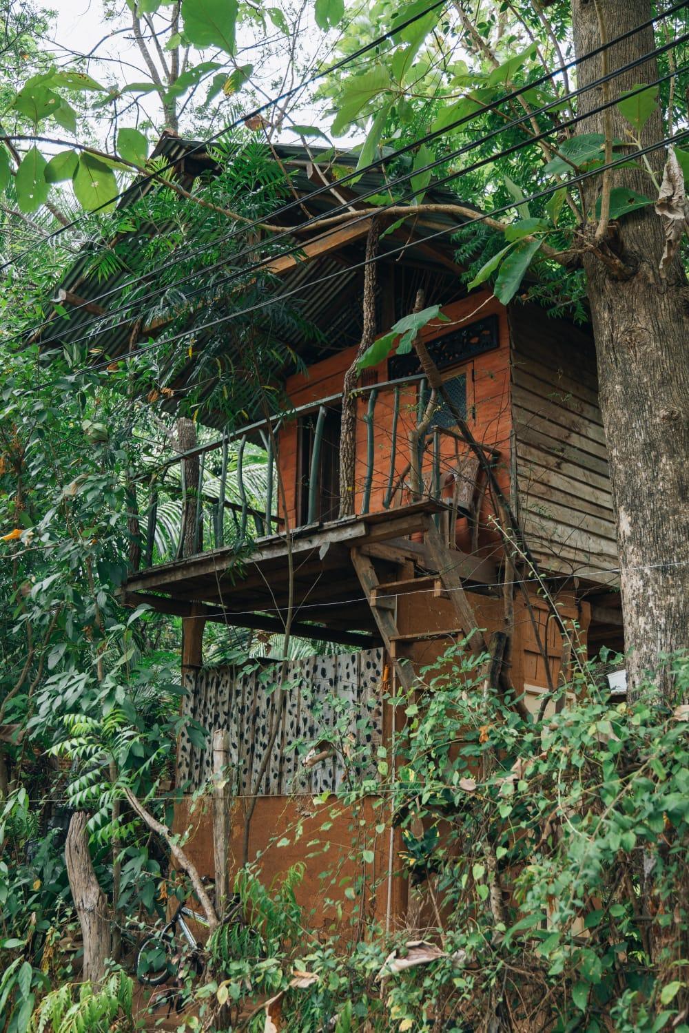 Angry Birds Tree House Apartment Habarana Luaran gambar