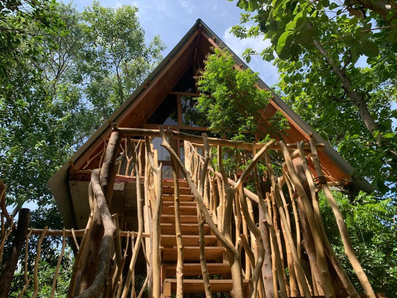 Angry Birds Tree House Apartment Habarana Bilik gambar