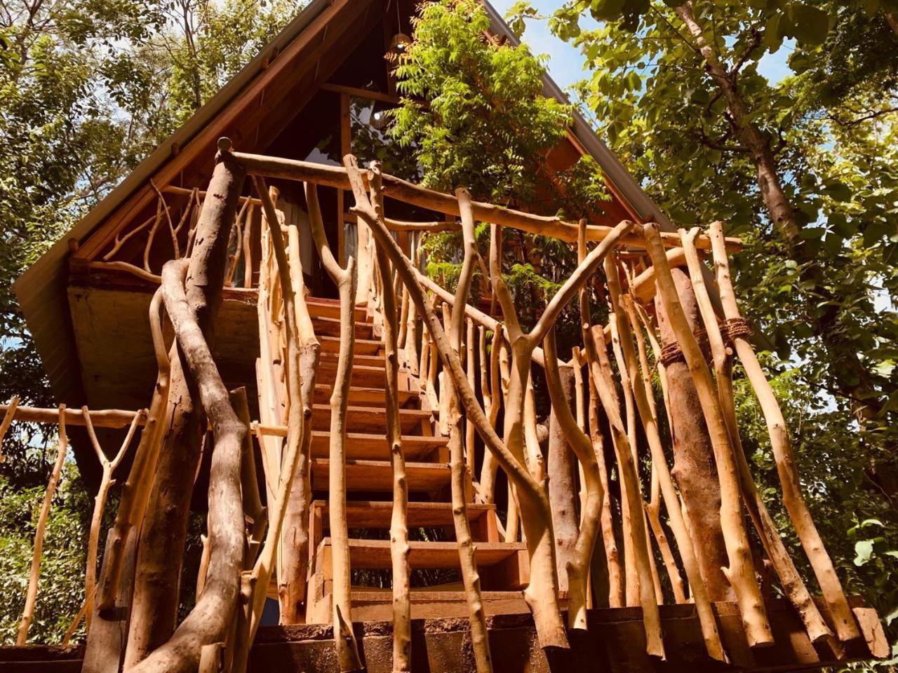 Angry Birds Tree House Apartment Habarana Luaran gambar