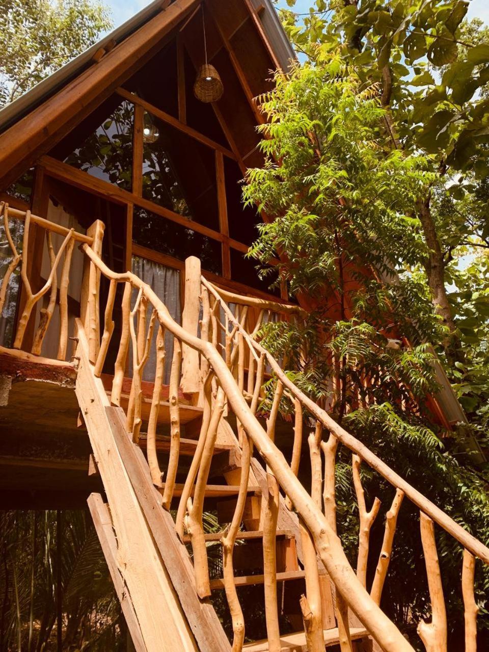 Angry Birds Tree House Apartment Habarana Luaran gambar