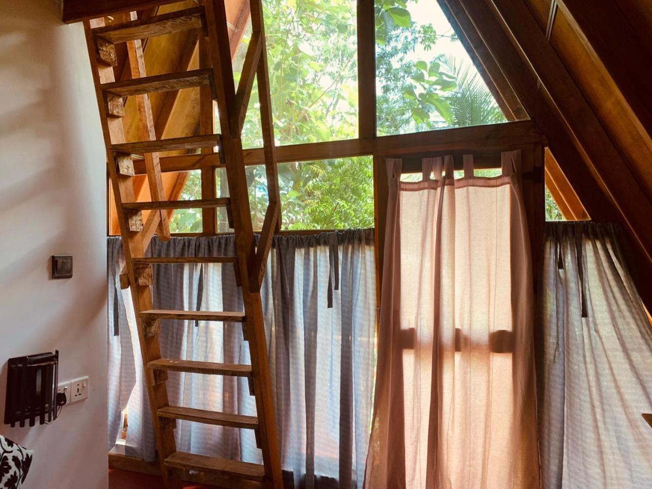 Angry Birds Tree House Apartment Habarana Luaran gambar