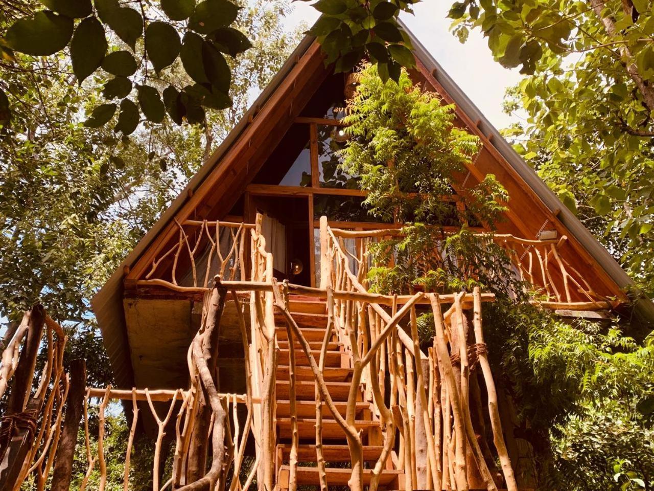 Angry Birds Tree House Apartment Habarana Luaran gambar
