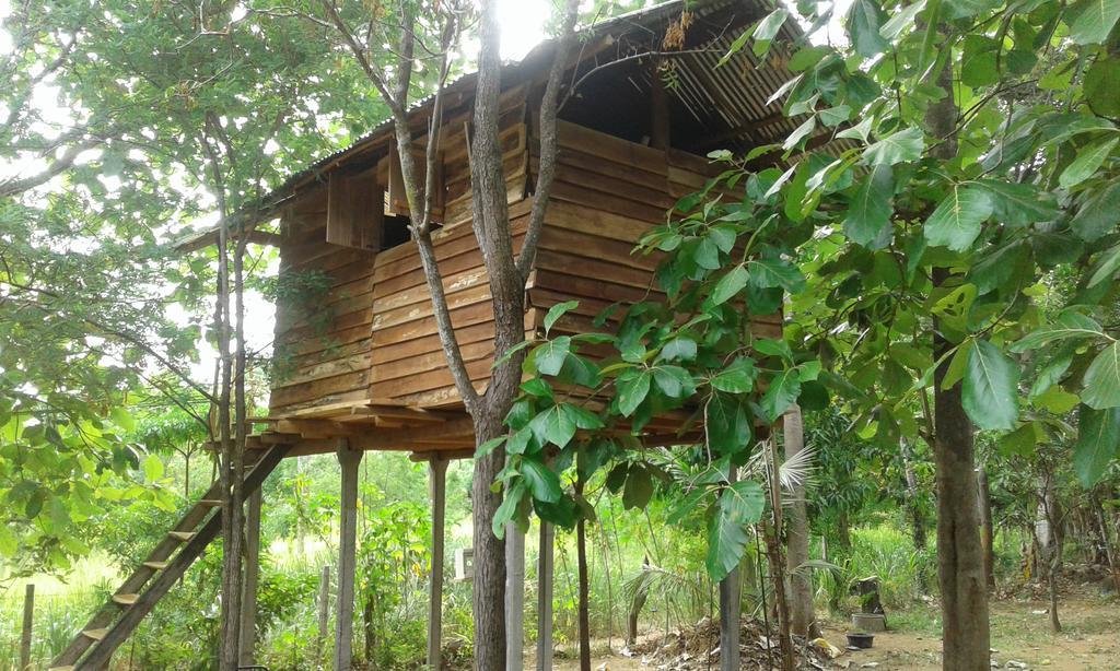 Angry Birds Tree House Apartment Habarana Luaran gambar