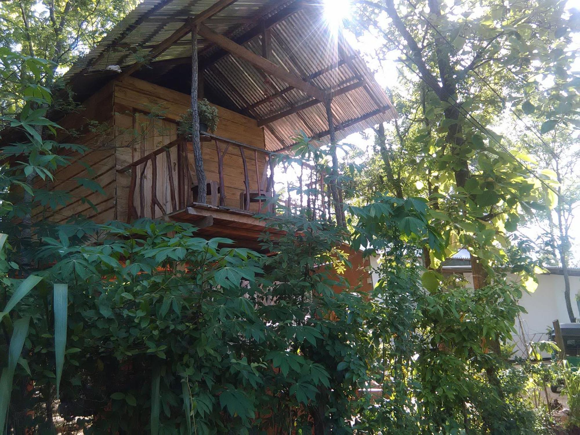 Angry Birds Tree House Apartment Habarana Luaran gambar