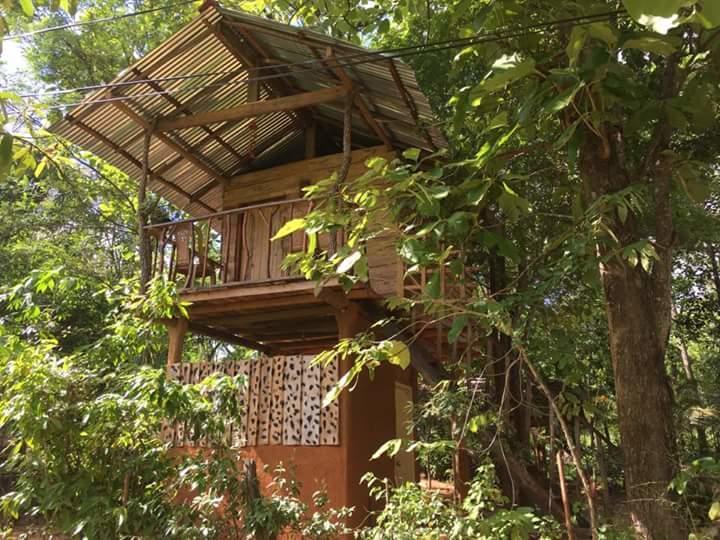 Angry Birds Tree House Apartment Habarana Luaran gambar