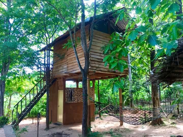 Angry Birds Tree House Apartment Habarana Luaran gambar