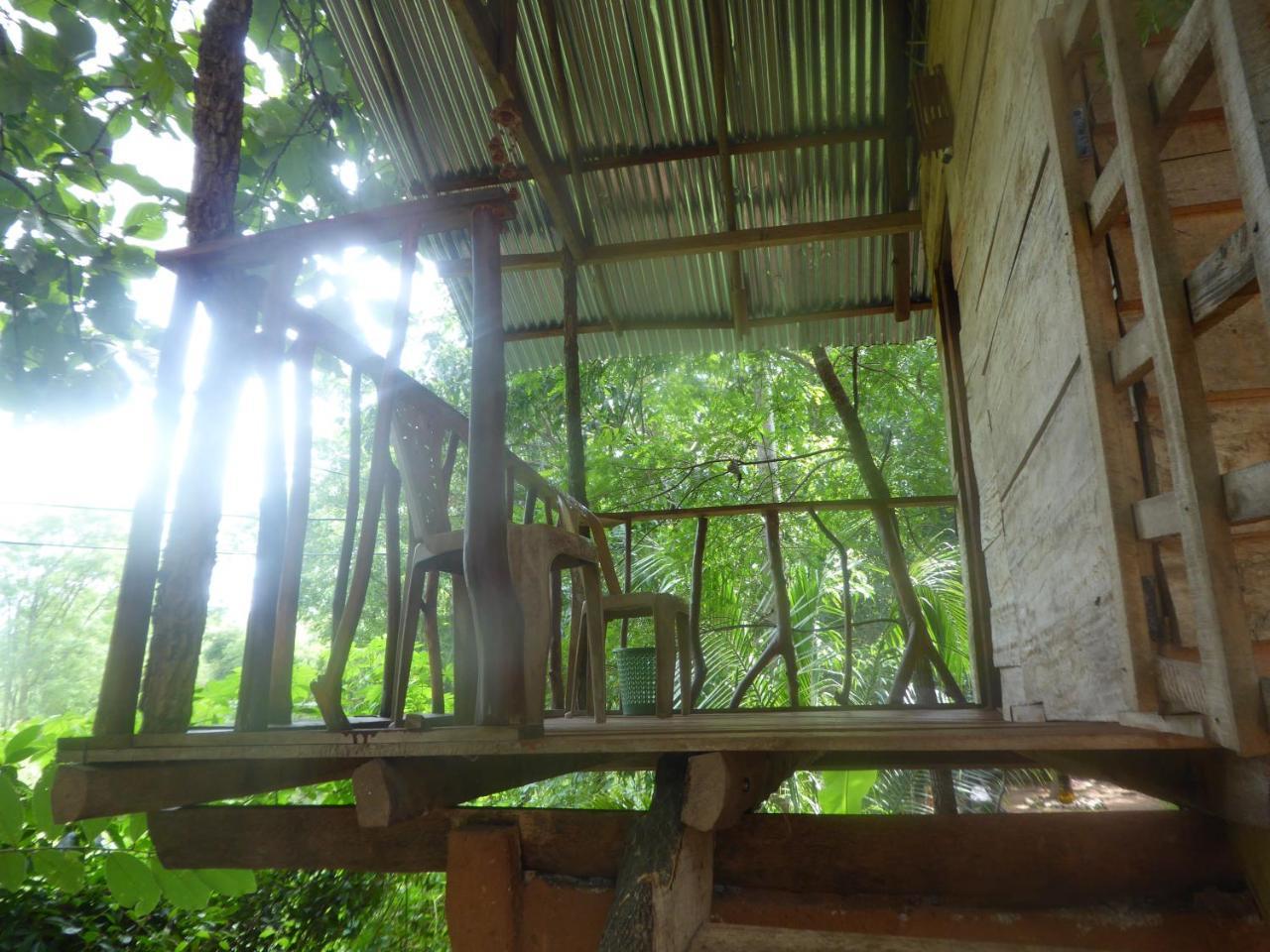 Angry Birds Tree House Apartment Habarana Luaran gambar