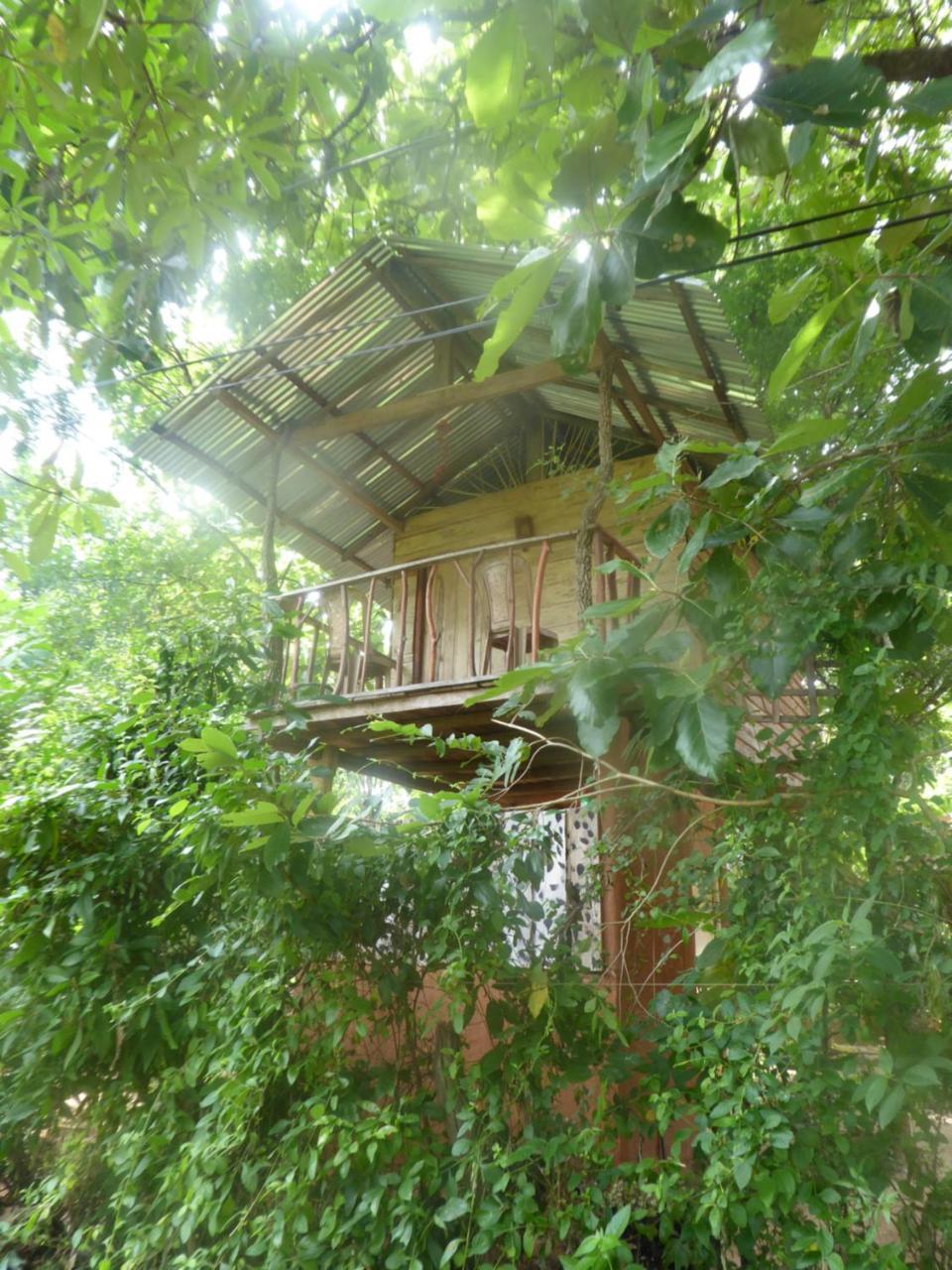 Angry Birds Tree House Apartment Habarana Luaran gambar