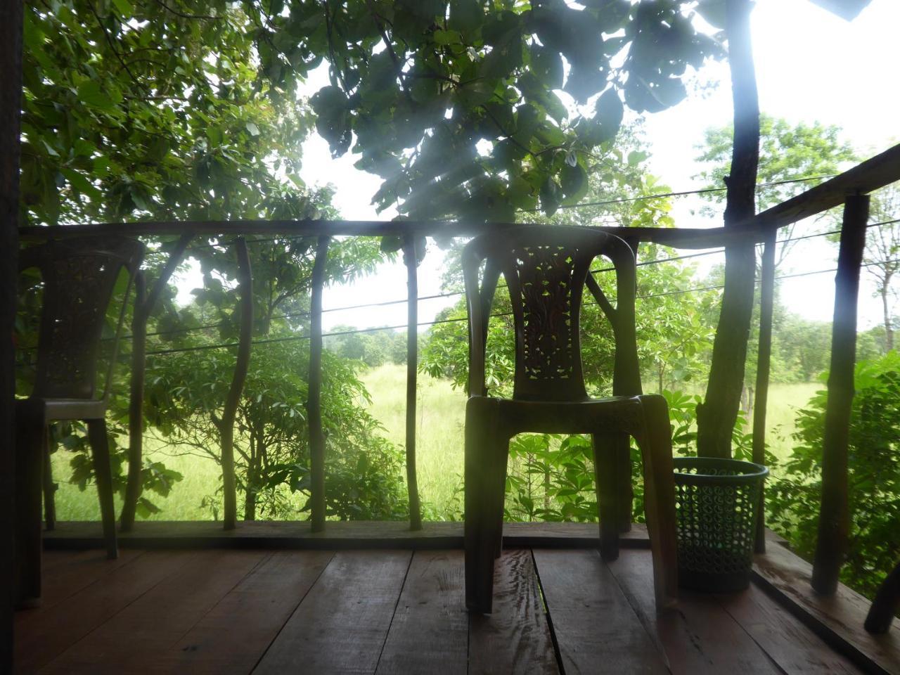 Angry Birds Tree House Apartment Habarana Luaran gambar