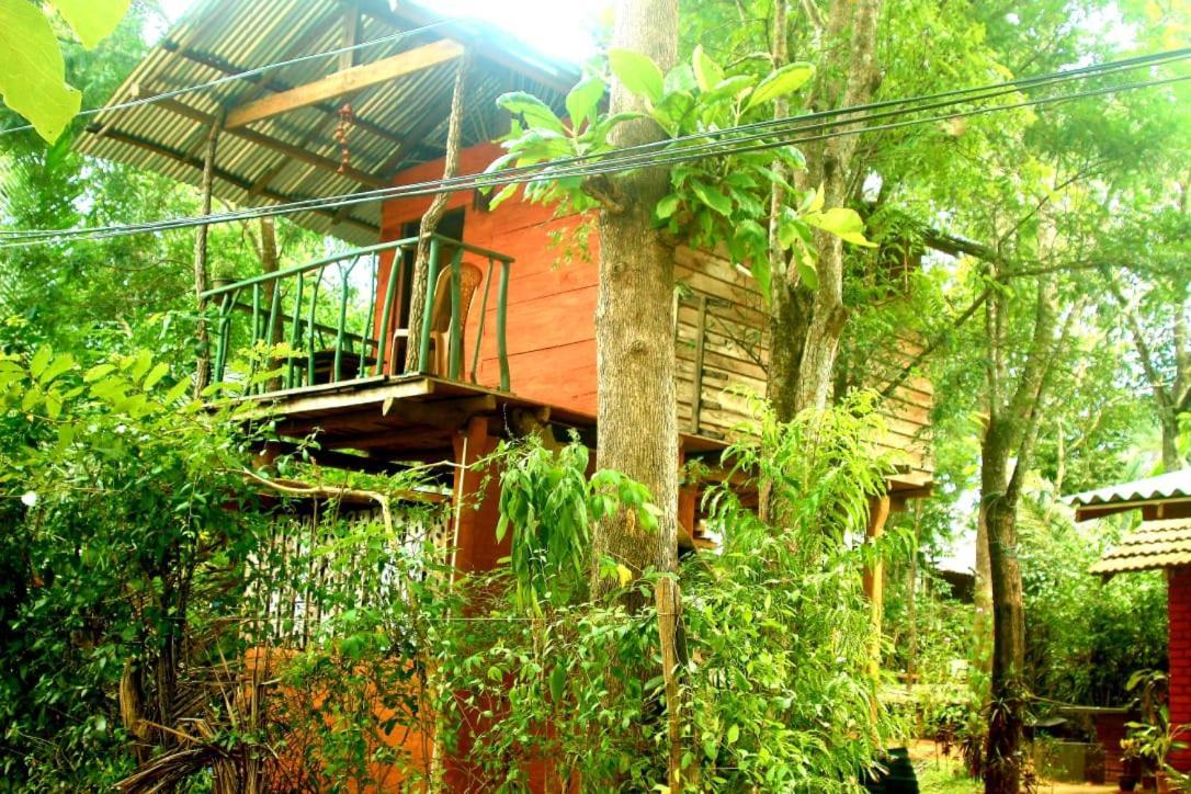 Angry Birds Tree House Apartment Habarana Luaran gambar